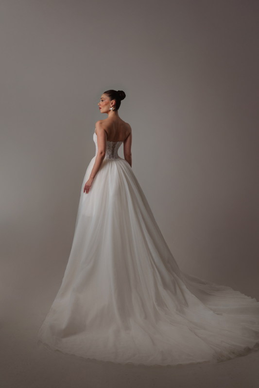 BALIK Fiyatı ve özellikleri