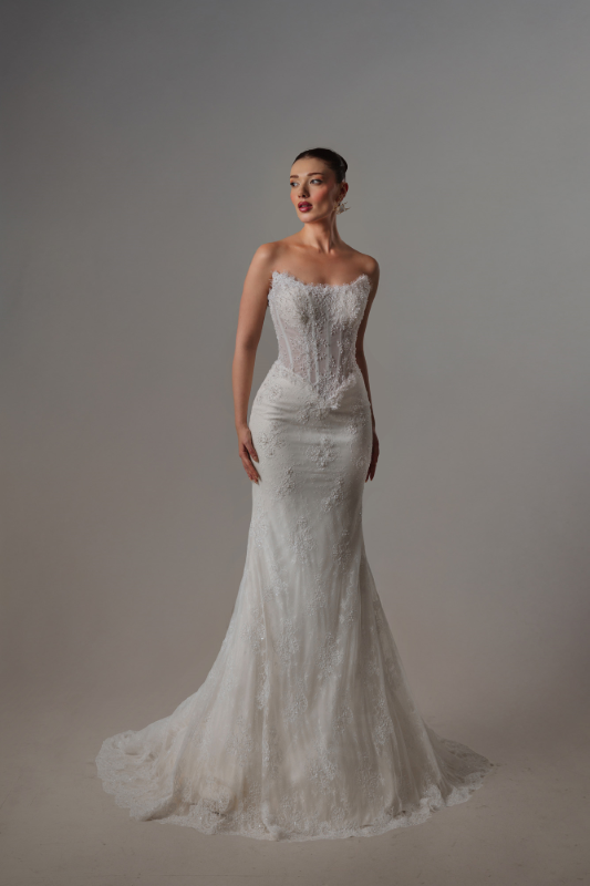 BALIK Fiyatı ve özellikleri