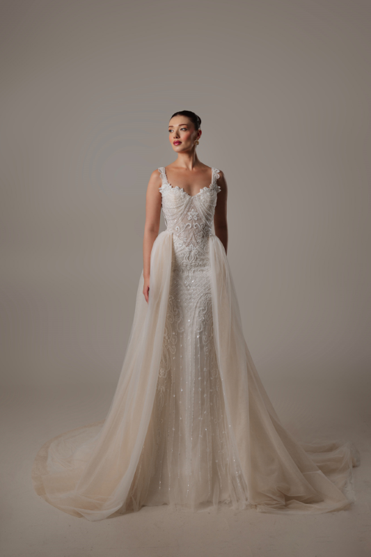 BALIK Fiyatı ve özellikleri