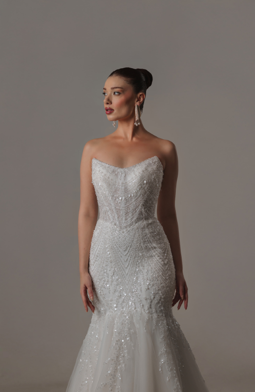 BALIK Fiyatı ve özellikleri