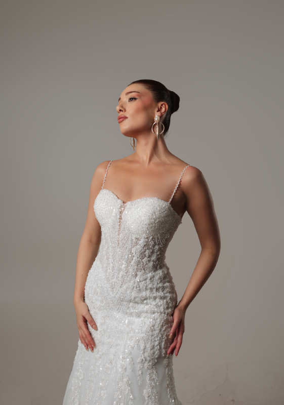 BALIK Fiyatı ve özellikleri