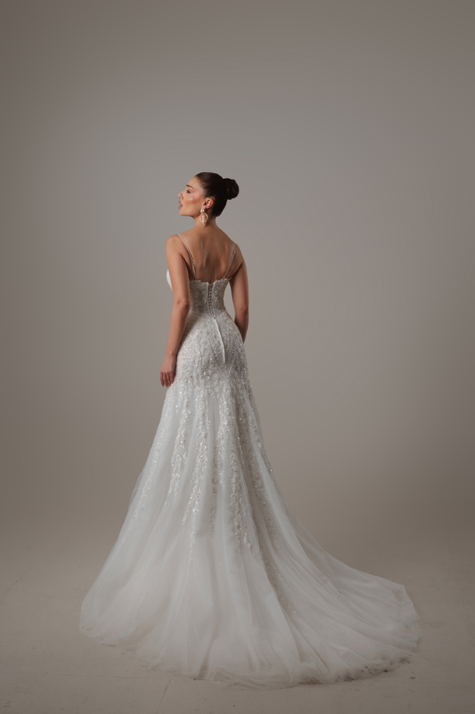 BALIK Fiyatı ve özellikleri