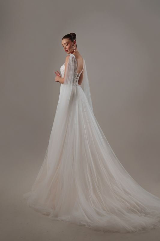 BALIK Fiyatı ve özellikleri