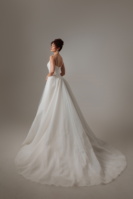 BALIK Fiyatı ve özellikleri