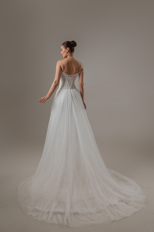 BALIK Fiyatı ve özellikleri