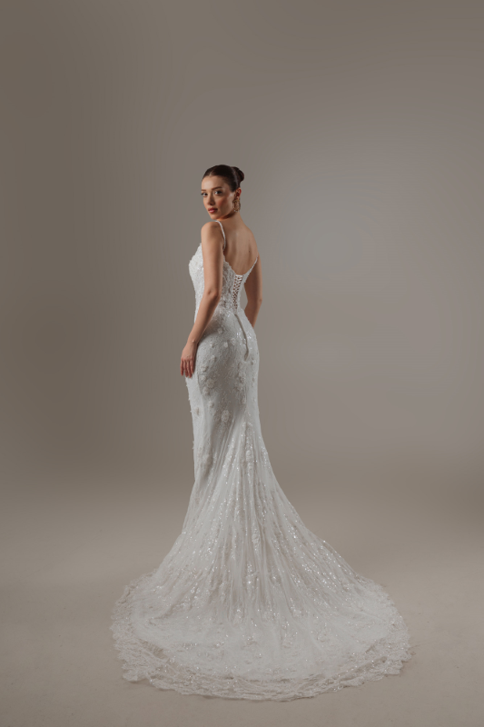 BALIK Fiyatı ve özellikleri