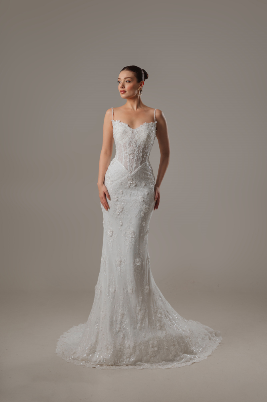 BALIK Fiyatı ve özellikleri