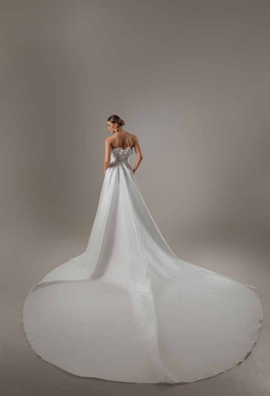 SATEN Fiyatı ve özellikleri