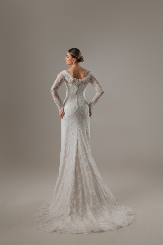 BALIK Fiyatı ve özellikleri