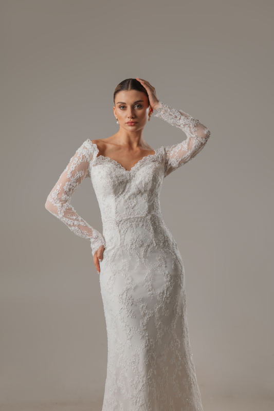 BALIK Fiyatı ve özellikleri