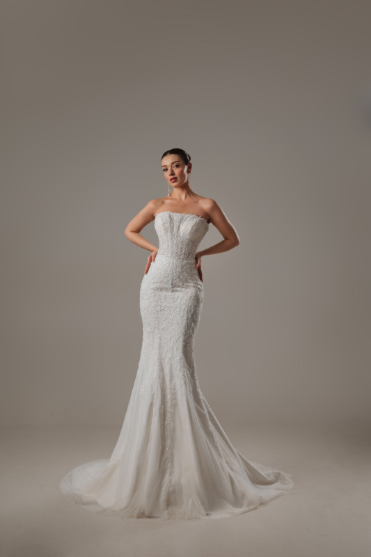 BALIK Fiyatı ve özellikleri