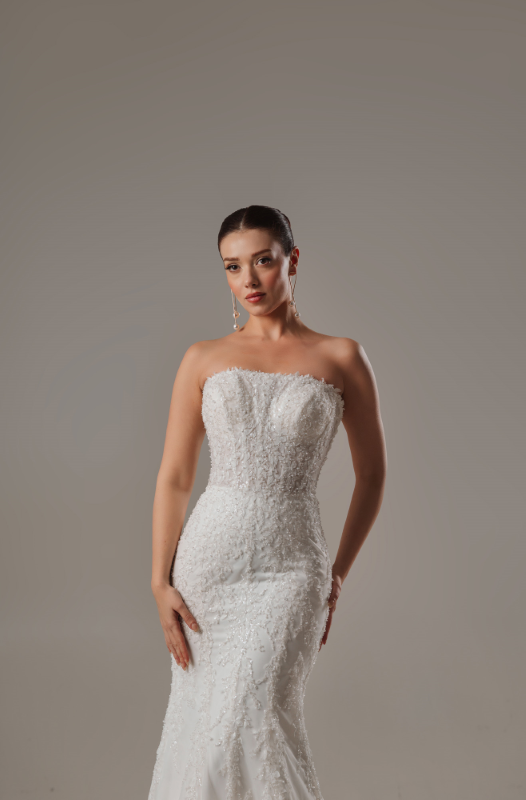 BALIK Fiyatı ve özellikleri