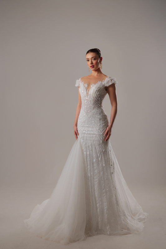 BALIK Fiyatı ve özellikleri