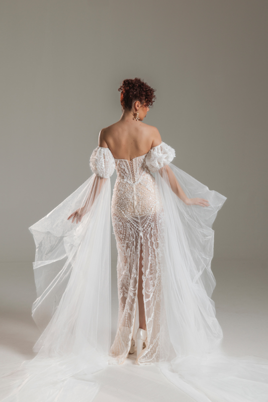 BALIK Fiyatı ve özellikleri