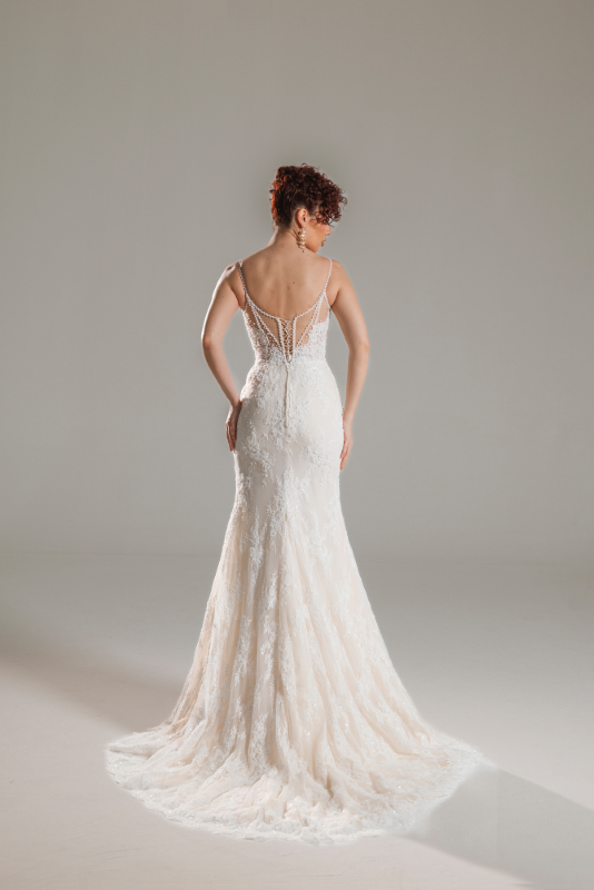 BALIK Fiyatı ve özellikleri