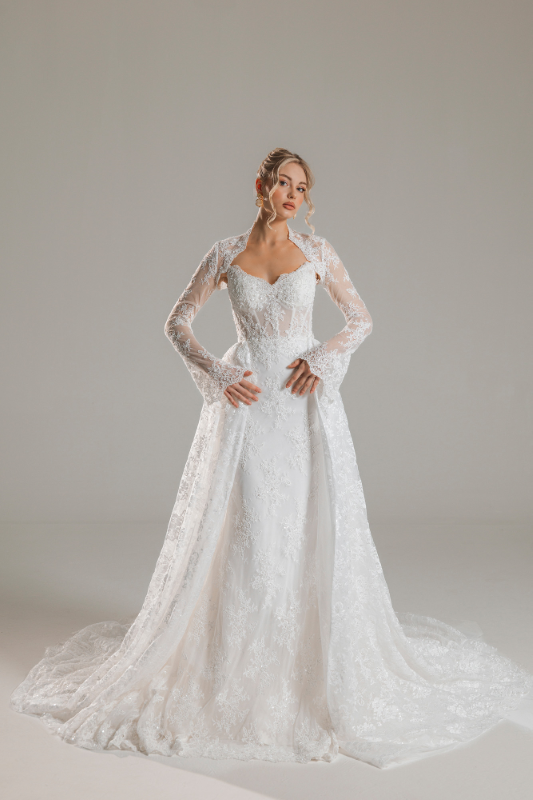 BALIK Fiyatı ve özellikleri