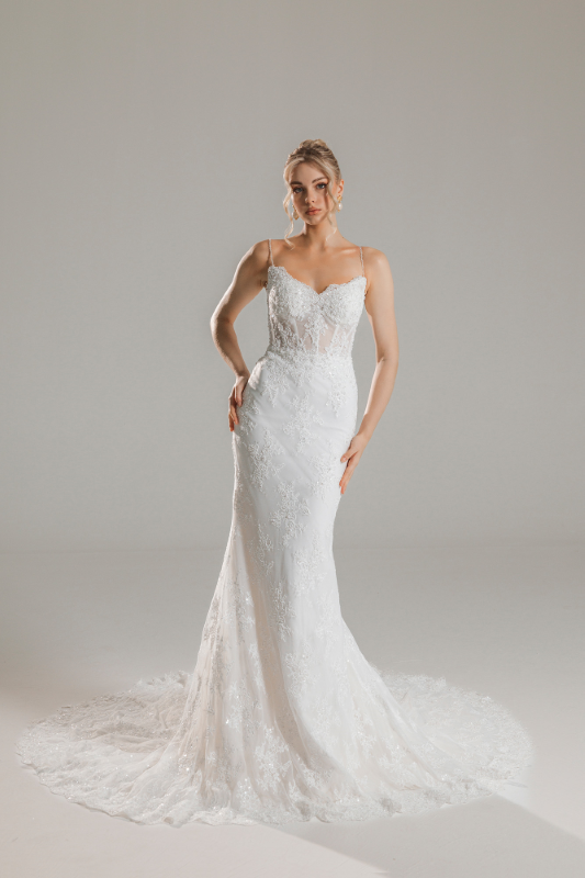 BALIK Fiyatı ve özellikleri