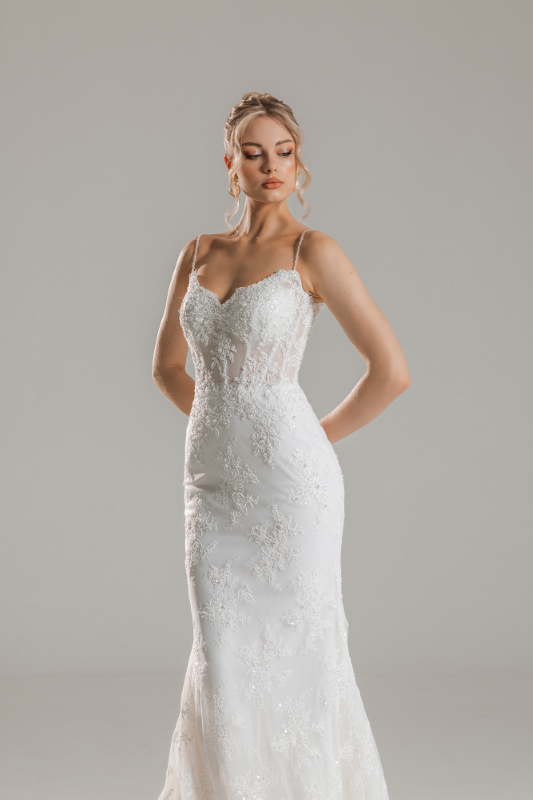 BALIK Fiyatı ve özellikleri