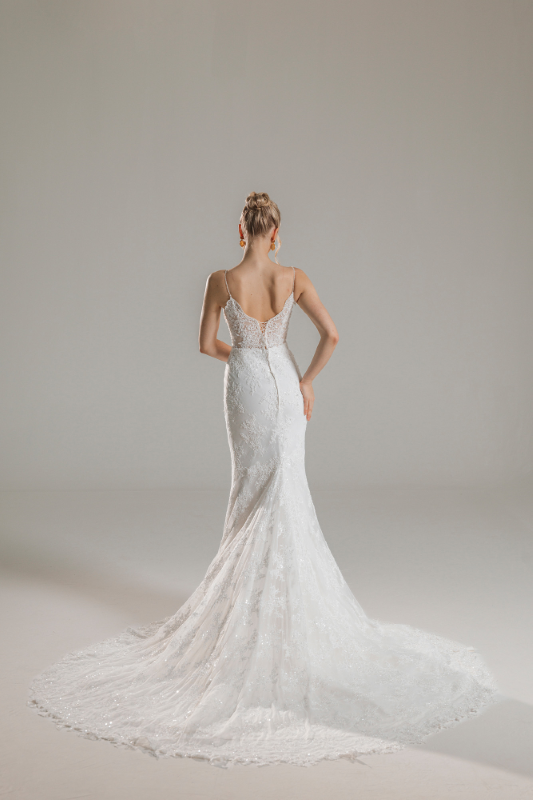 BALIK Fiyatı ve özellikleri